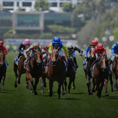 Horse Racing Events and Travel Packages