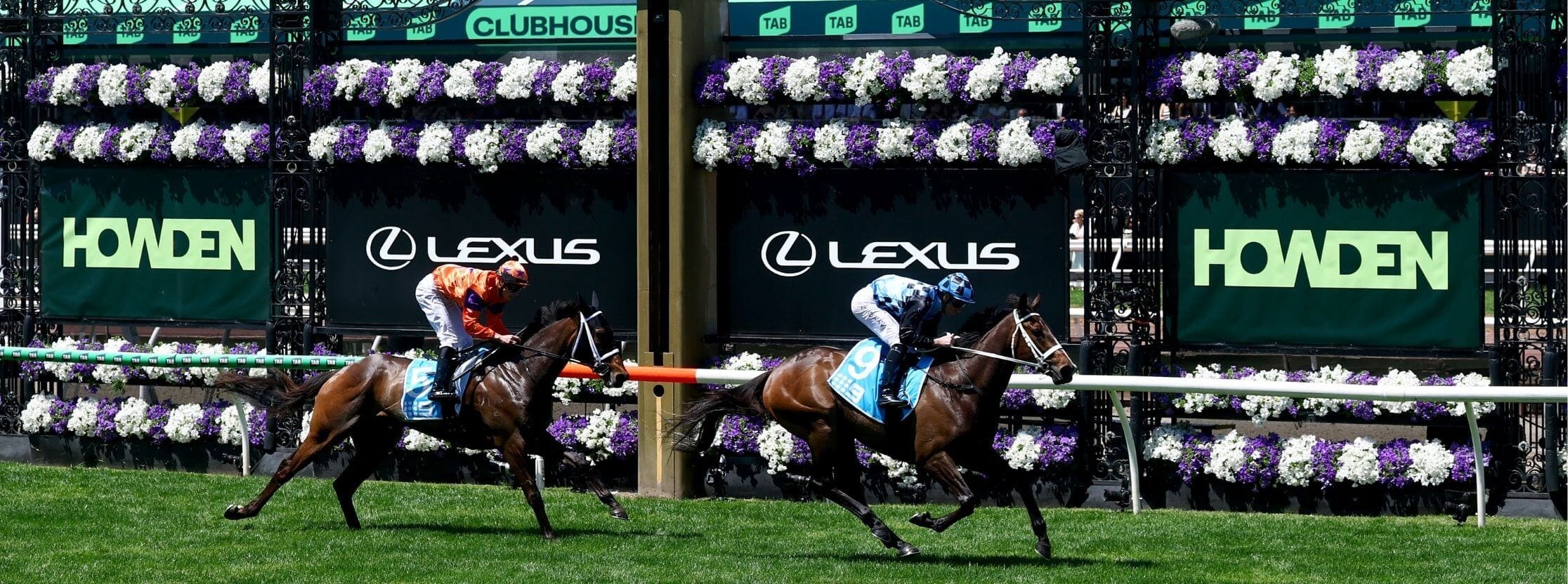 Hill Stand Lexus Melbourne Cup Package