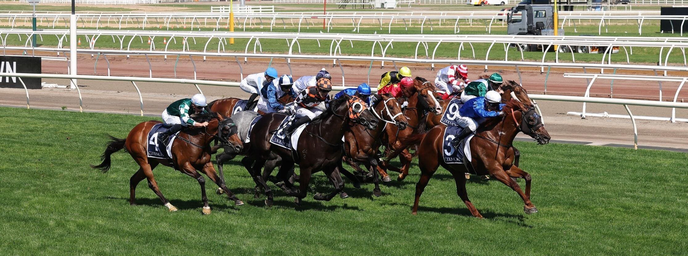 Premium Hospitality Racing & Tasting Package